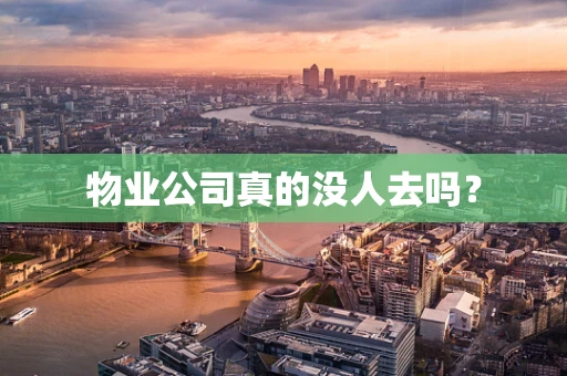 物业公司真的没人去吗？