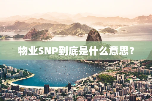 物业SNP到底是什么意思？
