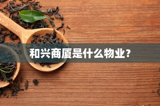 和兴商厦是什么物业？