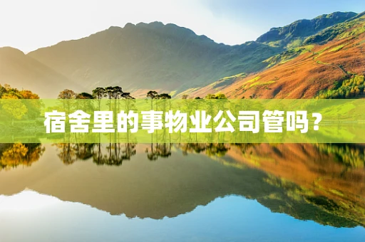 宿舍里的事物业公司管吗？
