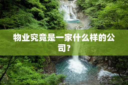 物业究竟是一家什么样的公司？