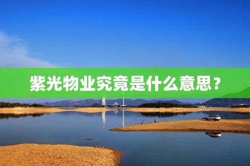 紫光物业究竟是什么意思？