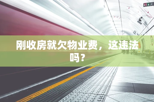 刚收房就欠物业费，这违法吗？