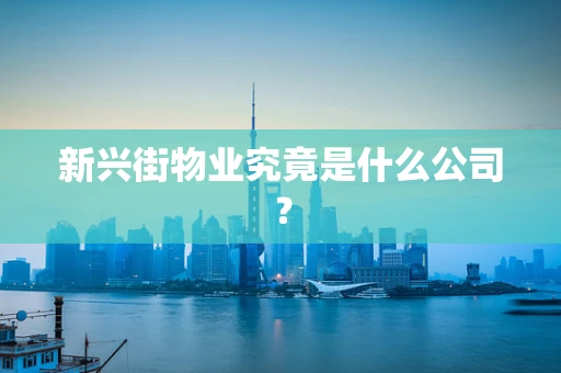 新兴街物业究竟是什么公司？