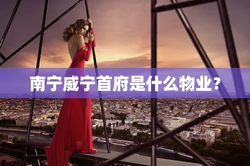 南宁威宁首府是什么物业？