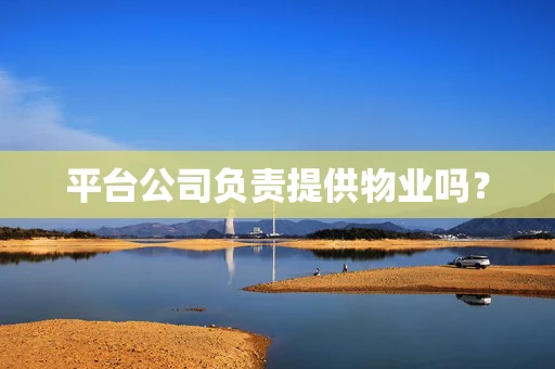 平台公司负责提供物业吗？