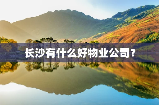 长沙有什么好物业公司？