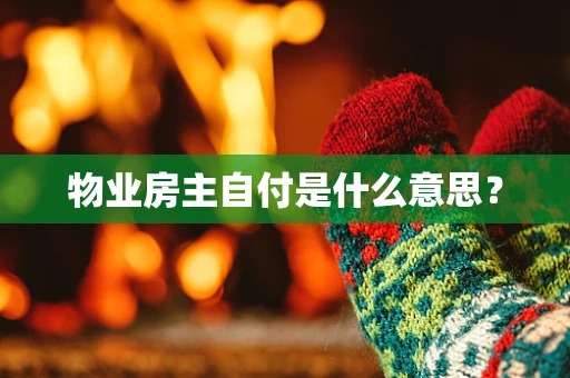 物业房主自付是什么意思？