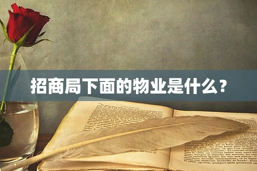 招商局下面的物业是什么？