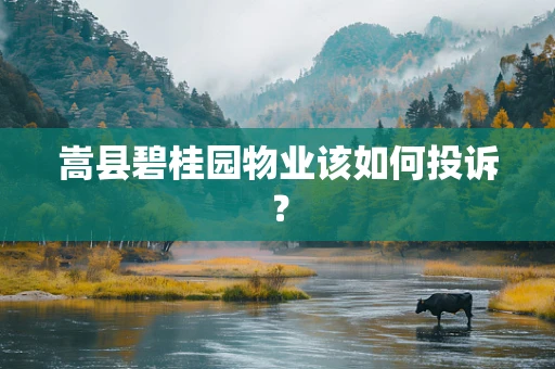 嵩县碧桂园物业该如何投诉？
