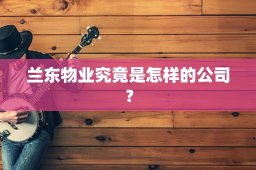 兰东物业究竟是怎样的公司？