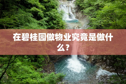 在碧桂园做物业究竟是做什么？