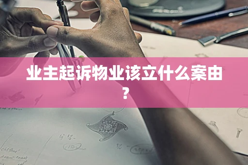业主起诉物业该立什么案由？