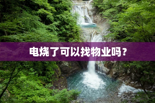电烧了可以找物业吗？