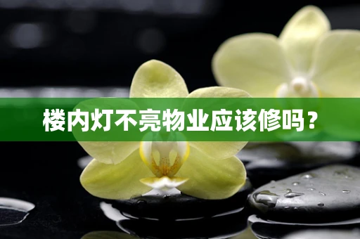 楼内灯不亮物业应该修吗？