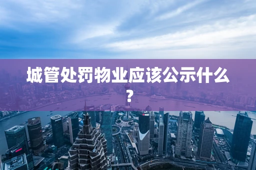 城管处罚物业应该公示什么？
