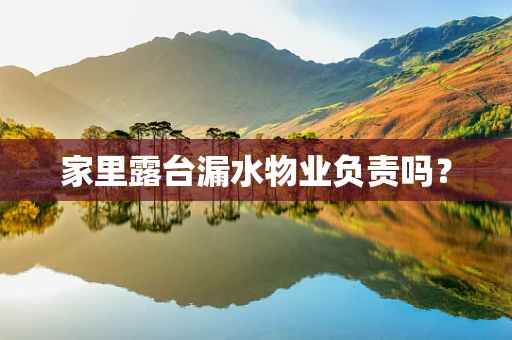 家里露台漏水物业负责吗？