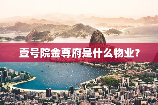 壹号院金尊府是什么物业？