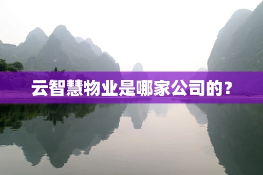 云智慧物业是哪家公司的？