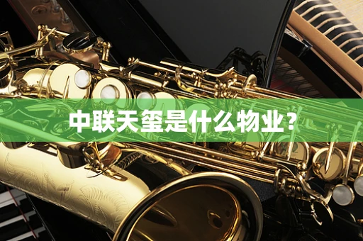 中联天玺是什么物业？