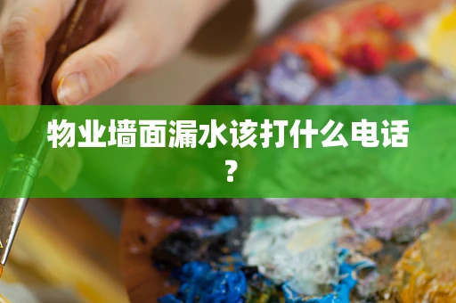 物业墙面漏水该打什么电话？