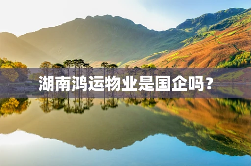 湖南鸿运物业是国企吗？