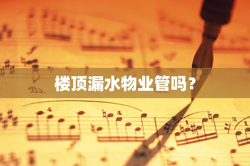 楼顶漏水物业管吗？