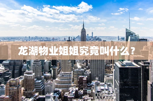 龙湖物业姐姐究竟叫什么？