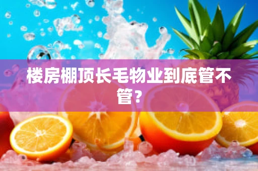 楼房棚顶长毛物业到底管不管？