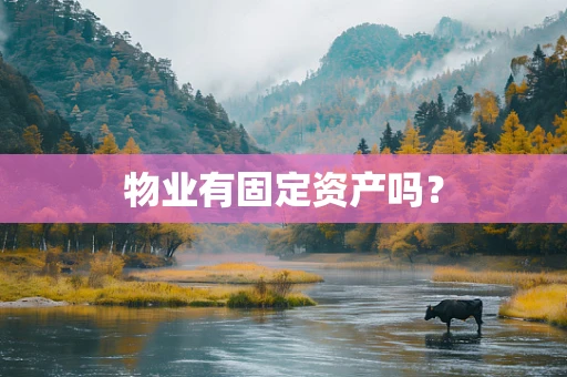 物业有固定资产吗？