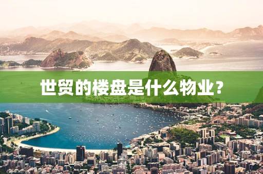 世贸的楼盘是什么物业？
