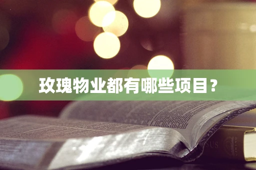 玫瑰物业都有哪些项目？