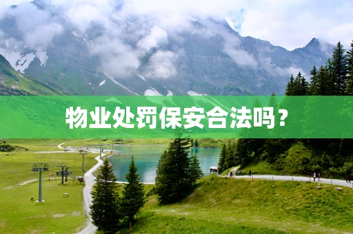 物业处罚保安合法吗？