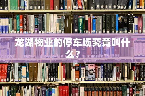 龙湖物业的停车场究竟叫什么？