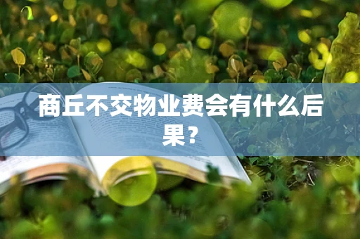 商丘不交物业费会有什么后果？