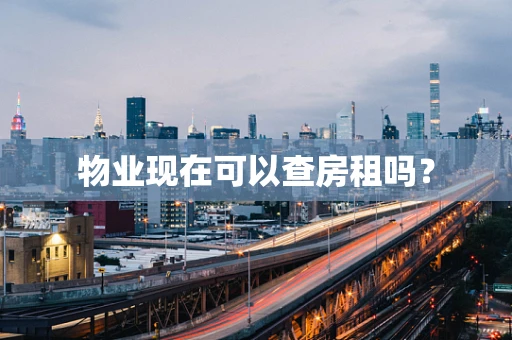 物业现在可以查房租吗？