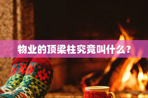 物业的顶梁柱究竟叫什么？