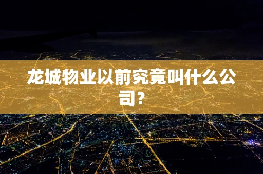 龙城物业以前究竟叫什么公司？