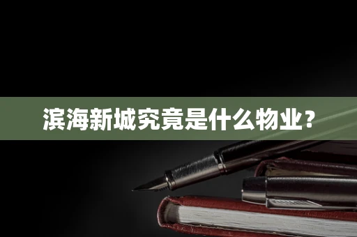 滨海新城究竟是什么物业？