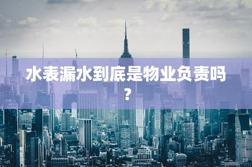 水表漏水到底是物业负责吗？