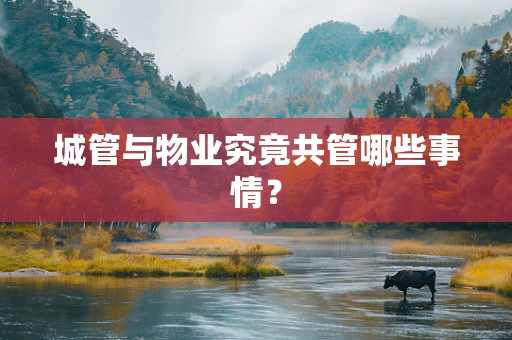 城管与物业究竟共管哪些事情？