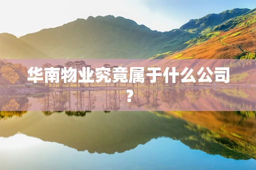 华南物业究竟属于什么公司？