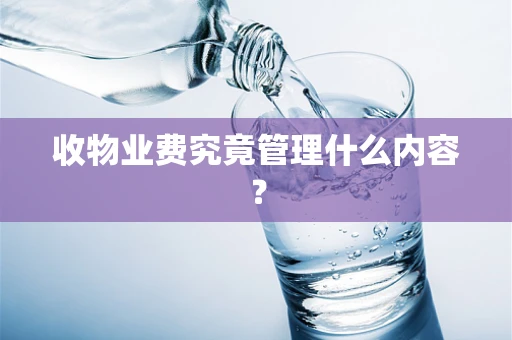 收物业费究竟管理什么内容？