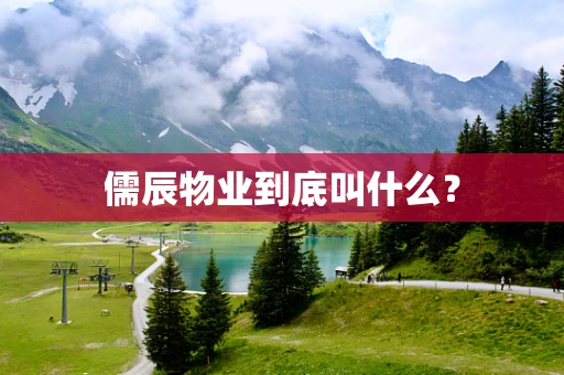 儒辰物业到底叫什么？