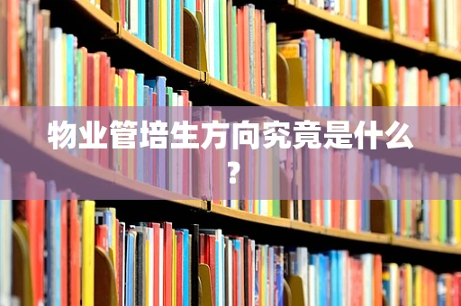 物业管培生方向究竟是什么？