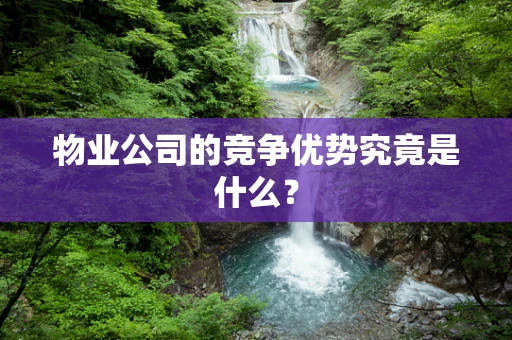 物业公司的竞争优势究竟是什么？