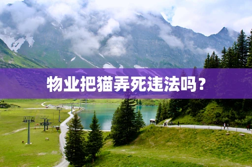 物业把猫弄死违法吗？