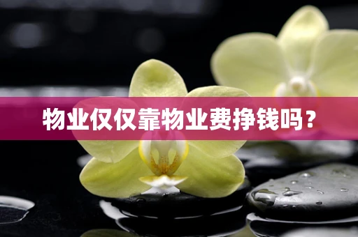 物业仅仅靠物业费挣钱吗？