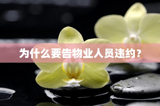 为什么要告物业人员违约？