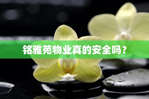 铭雅苑物业真的安全吗？
